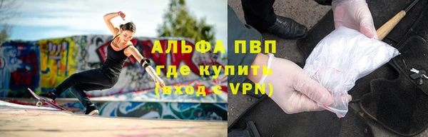 таблы Бородино