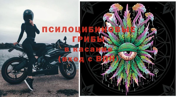 стаф Бронницы