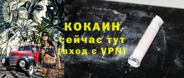 таблы Бородино