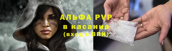 таблы Бородино