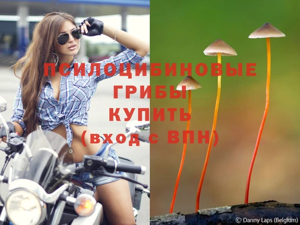 стаф Бронницы