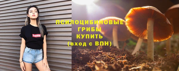сатива Белокуриха