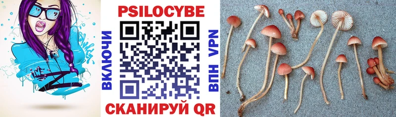 Псилоцибиновые грибы Psilocybine cubensis  закладки  Вельск 